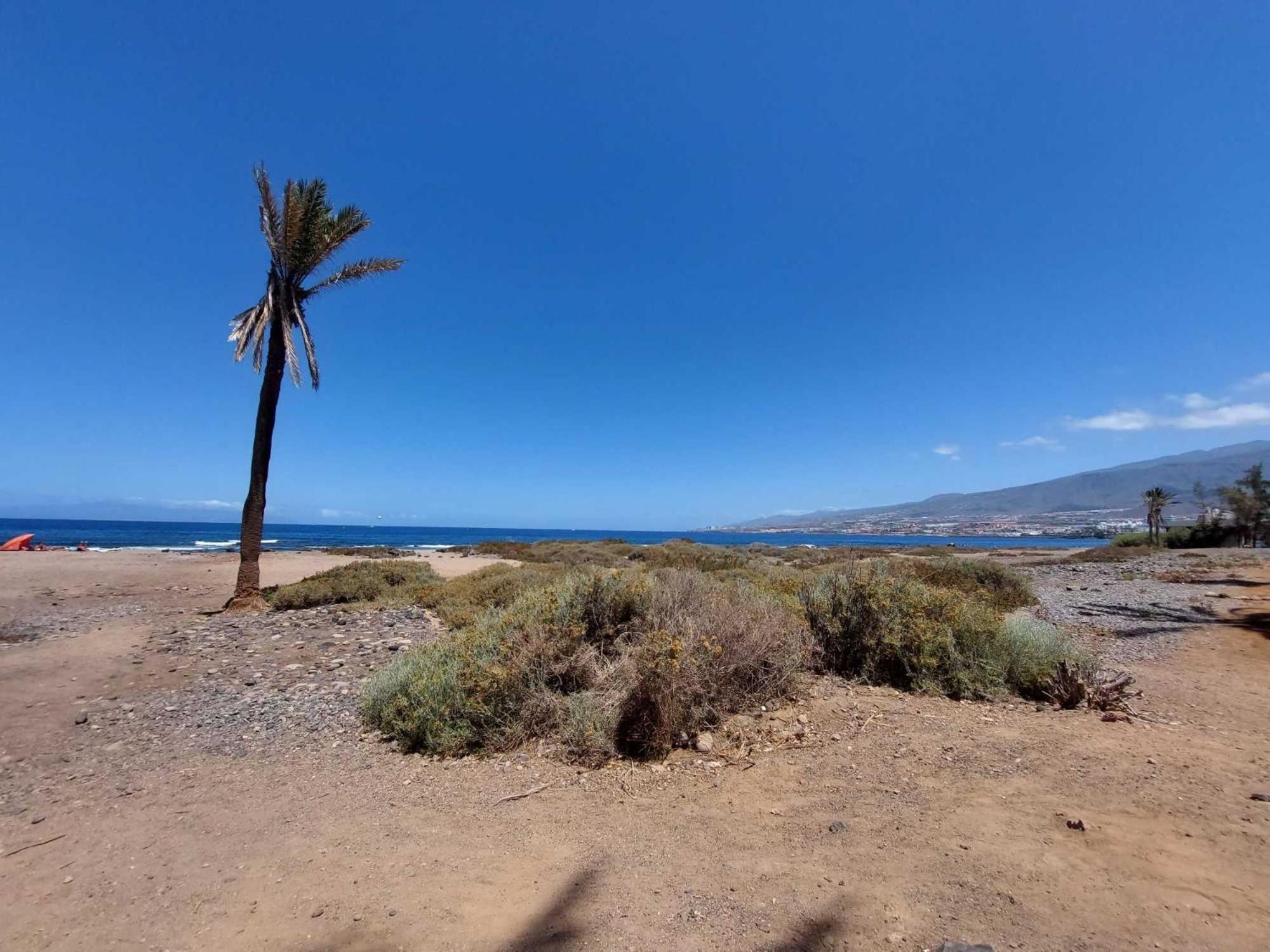 Apartamento De Un Dormitorio En Mareverde E14 Costa Adeje  ภายนอก รูปภาพ